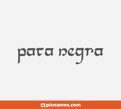 Pata Negra